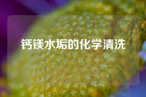 钙镁水垢的化学清洗