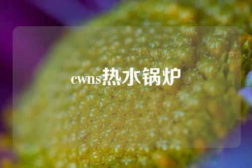 cwns热水锅炉