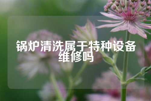 锅炉清洗属于特种设备维修吗