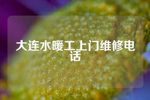 大连水暖工上门维修电话