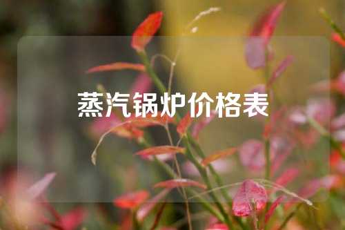 蒸汽锅炉价格表