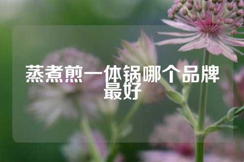 蒸煮煎一体锅哪个品牌最好