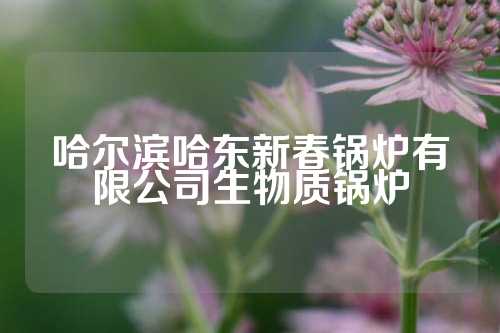 哈尔滨哈东新春锅炉有限公司生物质锅炉