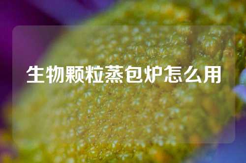 生物颗粒蒸包炉怎么用