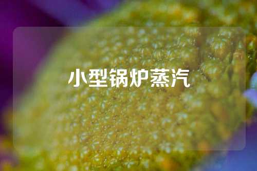 小型锅炉蒸汽