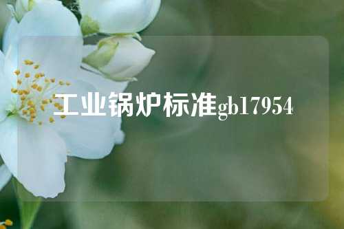 工业锅炉标准gb17954