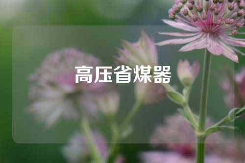 高压省煤器