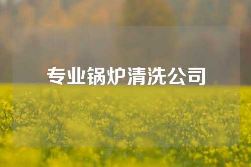 专业锅炉清洗公司