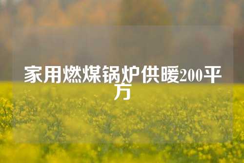 家用燃煤锅炉供暖200平方