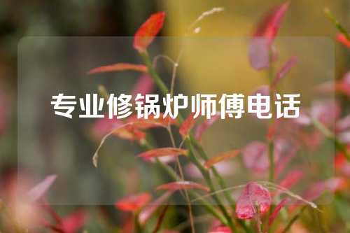 专业修锅炉师傅电话