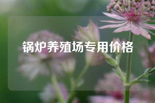 锅炉养殖场专用价格