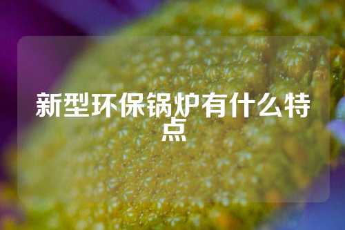 新型环保锅炉有什么特点