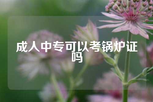 成人中专可以考锅炉证吗