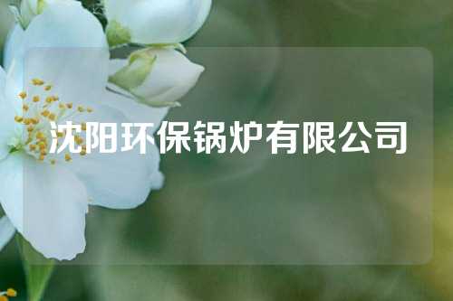 沈阳环保锅炉有限公司