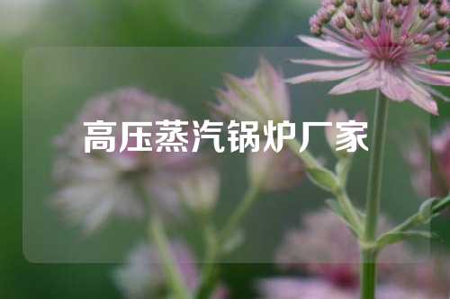 高压蒸汽锅炉厂家