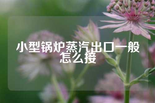 小型锅炉蒸汽出口一般怎么接