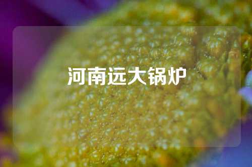 河南远大锅炉