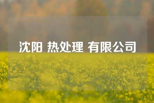 沈阳 热处理 有限公司