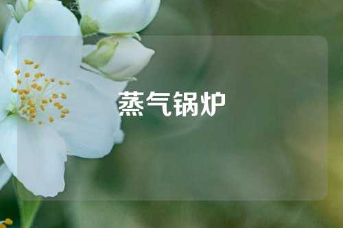 蒸气锅炉