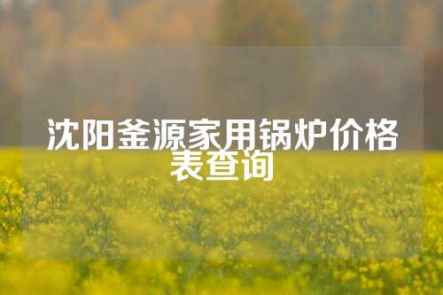 沈阳釜源家用锅炉价格表查询