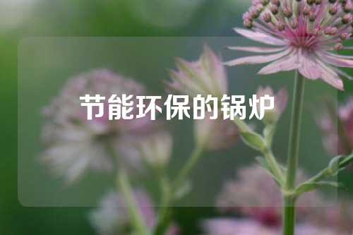 节能环保的锅炉