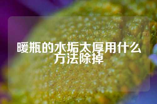 暖瓶的水垢太厚用什么方法除掉