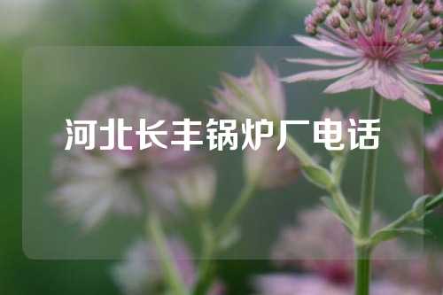 河北长丰锅炉厂电话