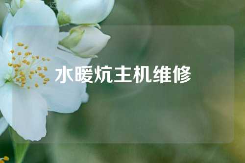 水暖炕主机维修