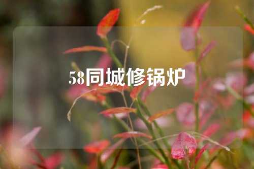 58同城修锅炉