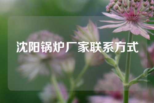 沈阳锅炉厂家联系方式