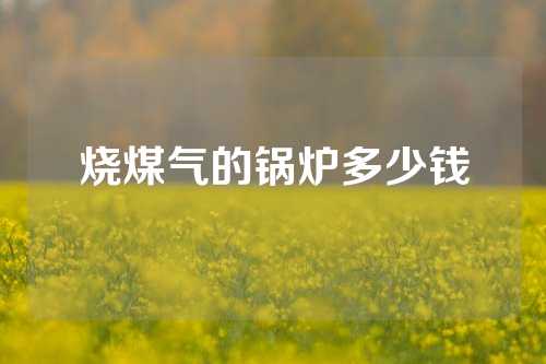 烧煤气的锅炉多少钱