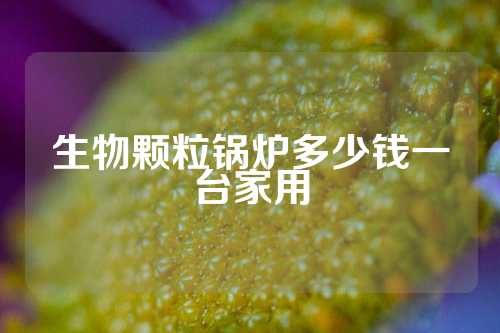 生物颗粒锅炉多少钱一台家用