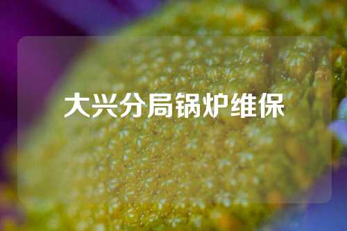 大兴分局锅炉维保