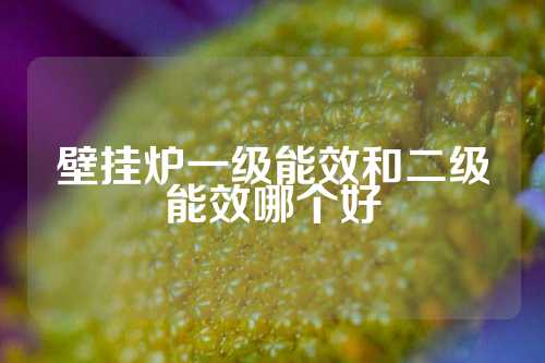 壁挂炉一级能效和二级能效哪个好