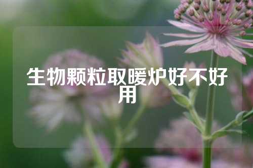 生物颗粒取暖炉好不好用