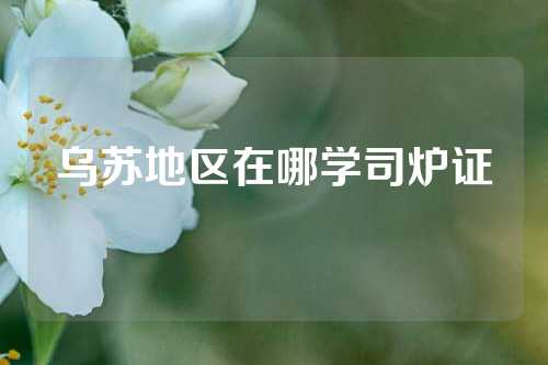 乌苏地区在哪学司炉证