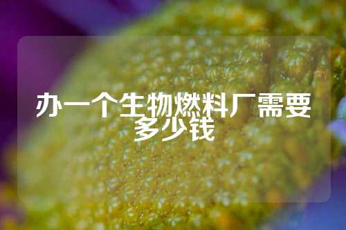 办一个生物燃料厂需要多少钱