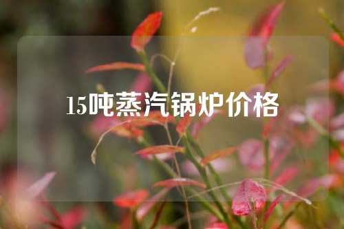 15吨蒸汽锅炉价格