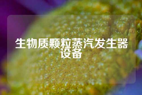 生物质颗粒蒸汽发生器设备