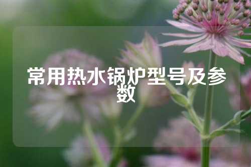 常用热水锅炉型号及参数