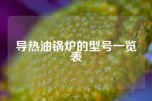 导热油锅炉的型号一览表