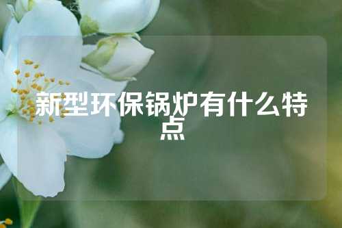 新型环保锅炉有什么特点