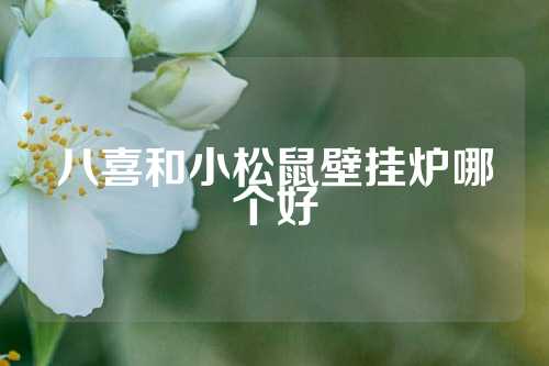 八喜和小松鼠壁挂炉哪个好