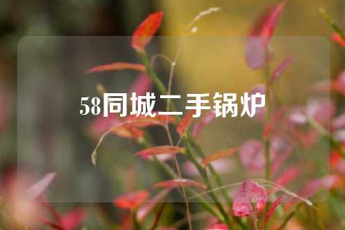 58同城二手锅炉