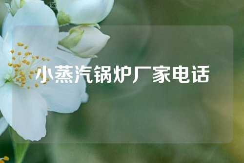 小蒸汽锅炉厂家电话