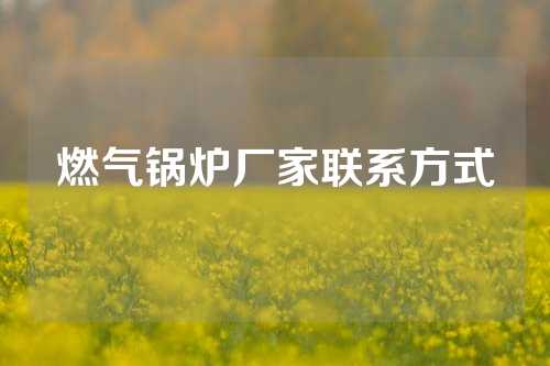 燃气锅炉厂家联系方式