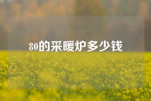 80的采暖炉多少钱