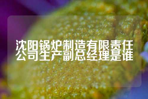 沈阳锅炉制造有限责任公司生产副总经理是谁