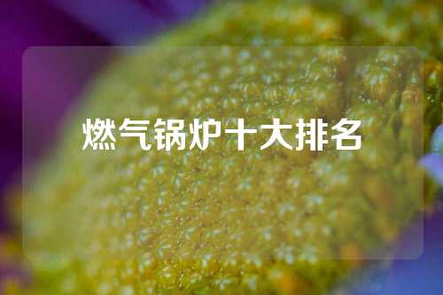 燃气锅炉十大排名