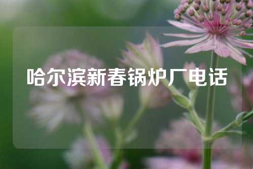 哈尔滨新春锅炉厂电话